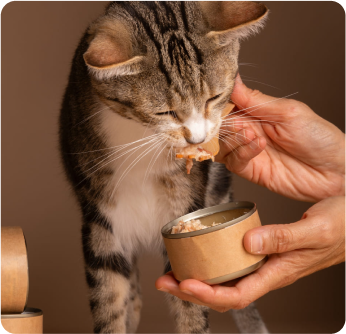 Feed or Animal Nutrition