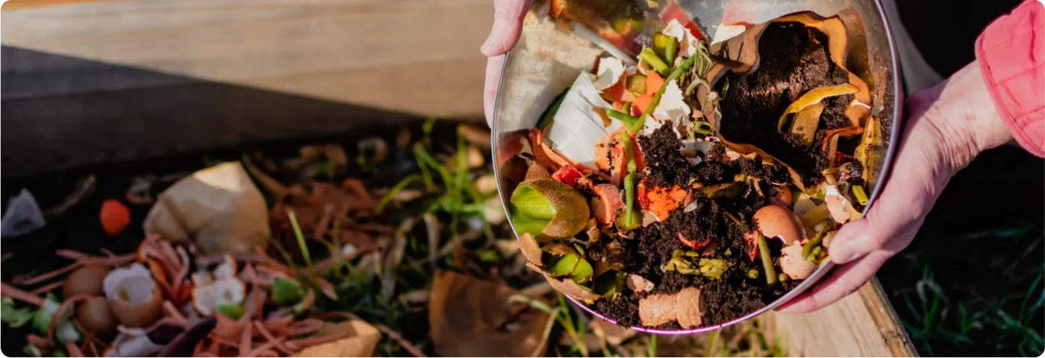 AgroGrin TECH quer ajudar a acabar com o desperdício da indústria alimentar.